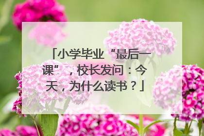 小学毕业“最后一课”，校长发问：今天，为什么读书？