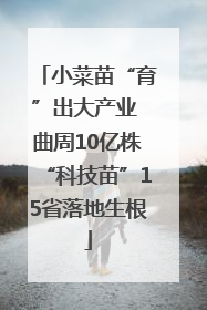 小菜苗“育”出大产业 曲周10亿株“科技苗”15省落地生根