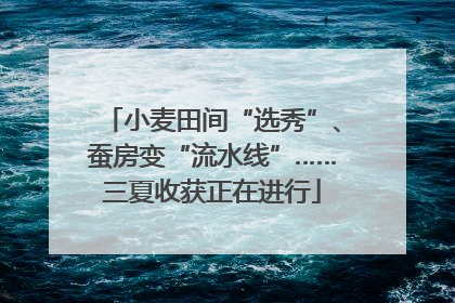 小麦田间“选秀”、蚕房变“流水线”……三夏收获正在进行