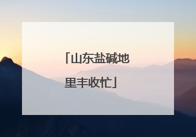 山东盐碱地里丰收忙