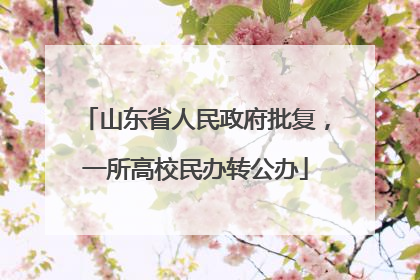 山东省人民政府批复，一所高校民办转公办