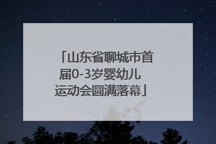 山东省聊城市首届0-3岁婴幼儿运动会圆满落幕