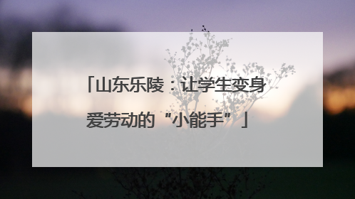 山东乐陵：让学生变身爱劳动的“小能手”