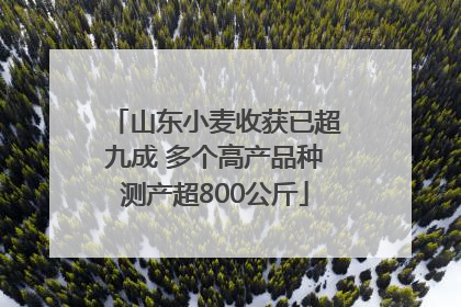 山东小麦收获已超九成 多个高产品种测产超800公斤
