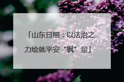山东日照：以法治之力绘就平安“枫”景