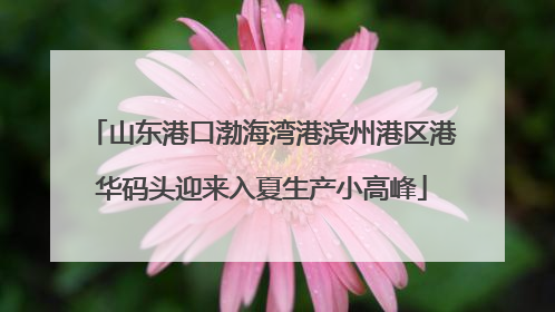 山东港口渤海湾港滨州港区港华码头迎来入夏生产小高峰