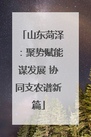 山东菏泽：聚势赋能谋发展 协同支农谱新篇