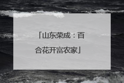 山东荣成：百合花开富农家