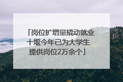 岗位扩增量撬动就业 十堰今年已为大学生提供岗位2万余个