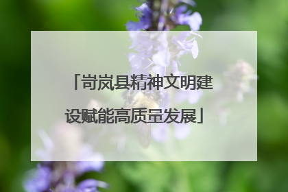 岢岚县精神文明建设赋能高质量发展