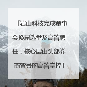 岩山科技完成董事会换届选举及高管聘任，核心层由头部券商背景的高管掌控