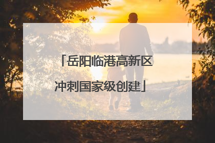岳阳临港高新区冲刺国家级创建