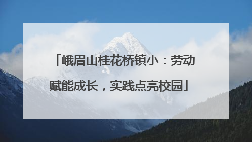 峨眉山桂花桥镇小：劳动赋能成长，实践点亮校园