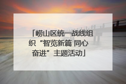 崂山区统一战线组织“智览新篇 同心奋进”主题活动