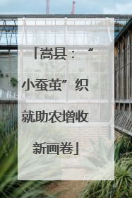 嵩县：“小蚕茧”织就助农增收新画卷
