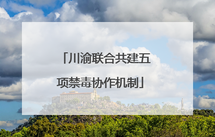 川渝联合共建五项禁毒协作机制