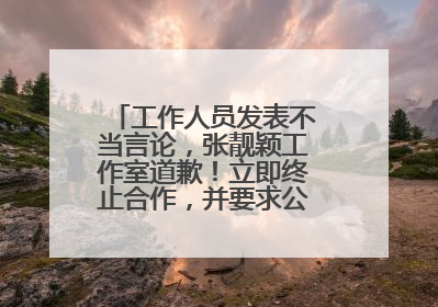 工作人员发表不当言论，张靓颖工作室道歉！立即终止合作，并要求公司严肃处理