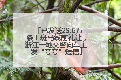 已发送29.6万条！斑马线前礼让，浙江一地交警向车主发“夸夸”短信