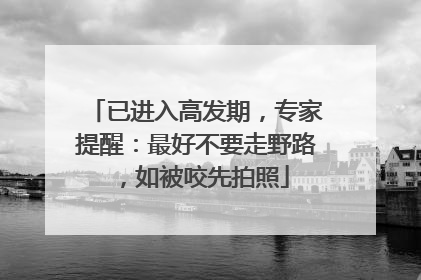 已进入高发期，专家提醒：最好不要走野路，如被咬先拍照