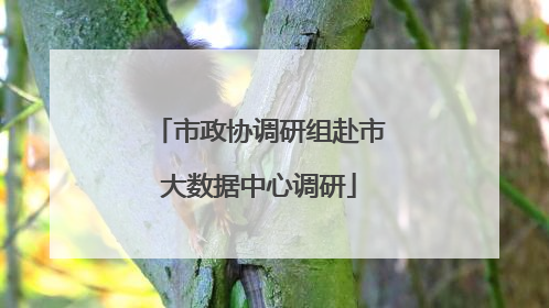 市政协调研组赴市大数据中心调研