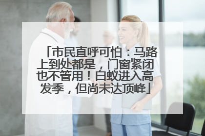市民直呼可怕：马路上到处都是，门窗紧闭也不管用！白蚁进入高发季，但尚未达顶峰