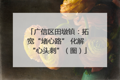 广信区田墩镇:拓宽“堵心路” 化解“心头刺”(图)