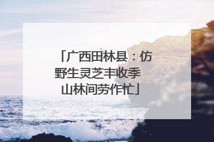 广西田林县：仿野生灵芝丰收季 山林间劳作忙