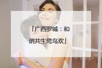 广西罗城：和谐共生鹭鸟欢
