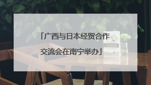 广西与日本经贸合作交流会在南宁举办