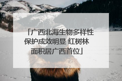 广西北海生物多样性保护成效明显 红树林面积居广西首位