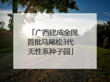 广西建成全国首批马尾松3代无性系种子园
