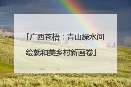 广西苍梧：青山绿水间绘就和美乡村新画卷