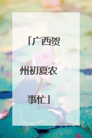 广西贺州初夏农事忙