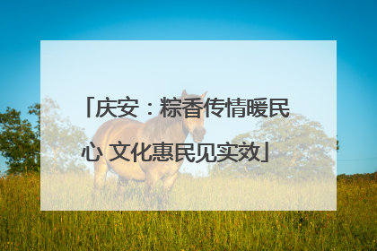 庆安：粽香传情暖民心 文化惠民见实效