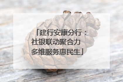 建行安康分行：社银联动聚合力 多维服务惠民生