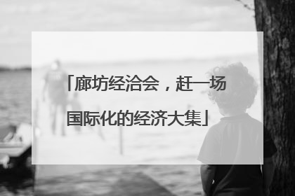 廊坊经洽会，赶一场国际化的经济大集