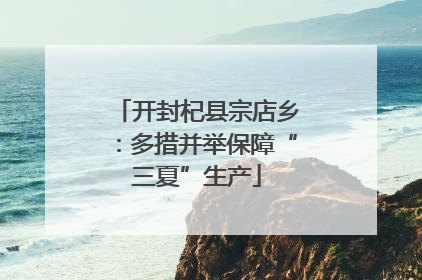 开封杞县宗店乡：多措并举保障“三夏”生产