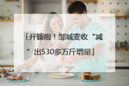 开镰啦！邹城麦收“减”出530多万斤增量