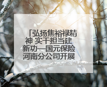 弘扬焦裕禄精神 实干担当建新功—国元保险河南分公司开展“迎七一”主题党日活动