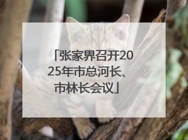 张家界召开2025年市总河长、市林长会议