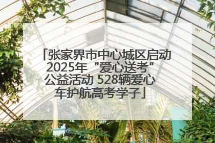 张家界市中心城区启动2025年“爱心送考”公益活动 528辆爱心车护航高考学子