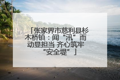 张家界市慈利县杉木桥镇：闻“汛”而动显担当 齐心筑牢“安全堤”