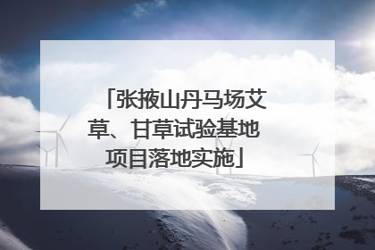 张掖山丹马场艾草、甘草试验基地项目落地实施