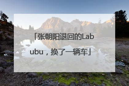 张朝阳退回的Labubu，换了一辆车