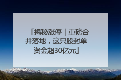 揭秘涨停｜重磅合并落地，这只股封单资金超30亿元