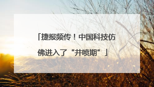 捷报频传！中国科技仿佛进入了“井喷期”