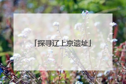 探寻辽上京遗址