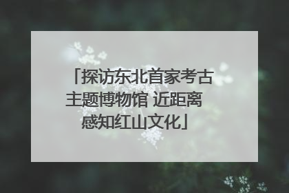 探访东北首家考古主题博物馆 近距离感知红山文化
