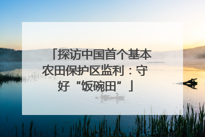 探访中国首个基本农田保护区监利：守好“饭碗田”