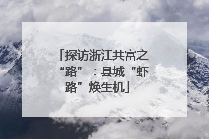 探访浙江共富之“路”：县城“虾路”焕生机